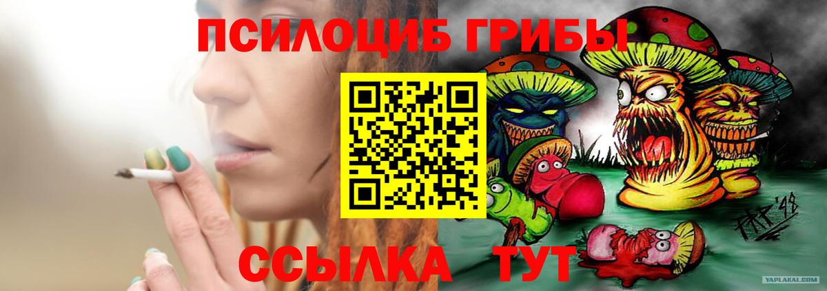 Нижнекамск  Галлюциногенные грибы MAGIC MUSHROOMS  цены наркотик  Вход с VPN 